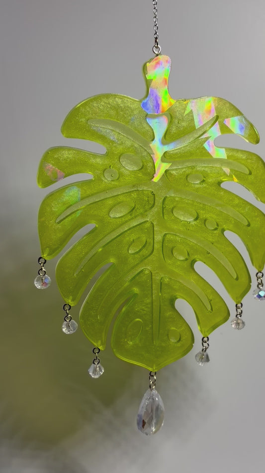 Tropical Monstera Leaf Resin Suncatchers